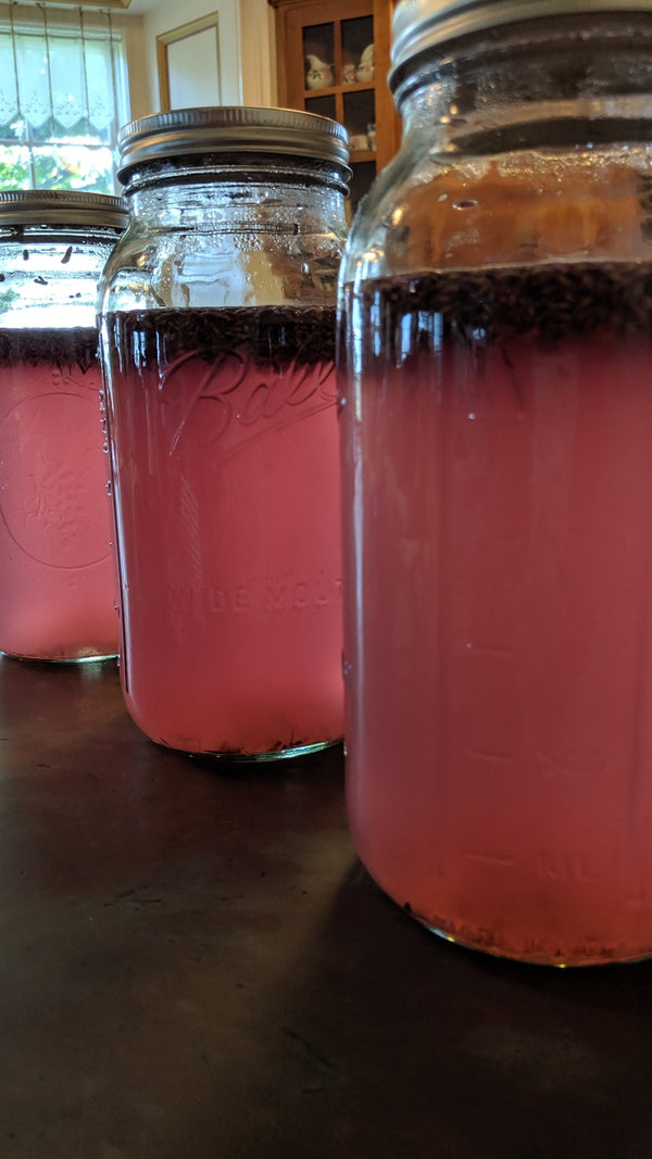 Lavender Lemonade "Lavenade" Recipe - Lavenlair Farm
