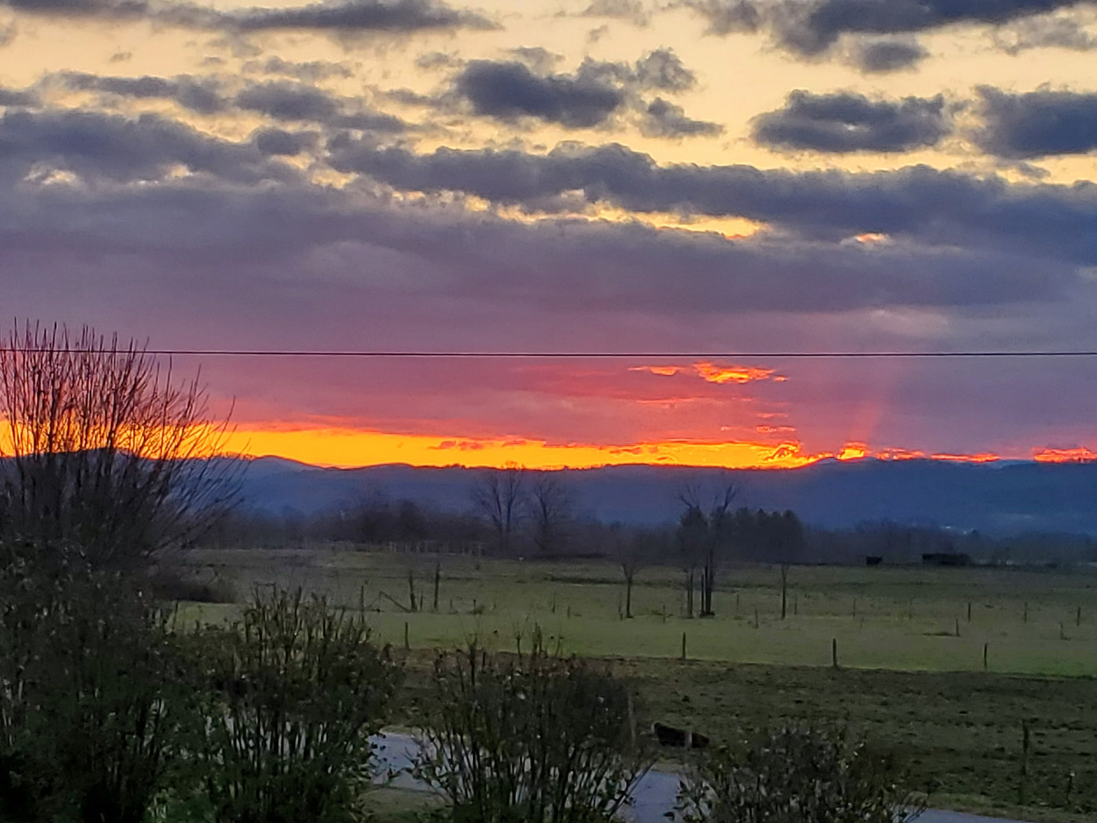 Call for Photos for Lavenlair Farm 2022 Calendar