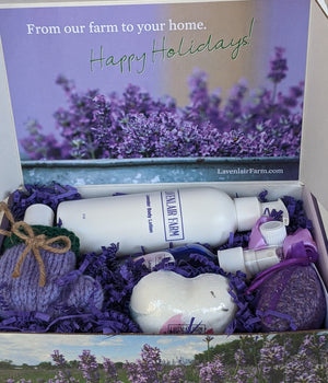 lavender plant gift set Lavish Lavender Gift Box